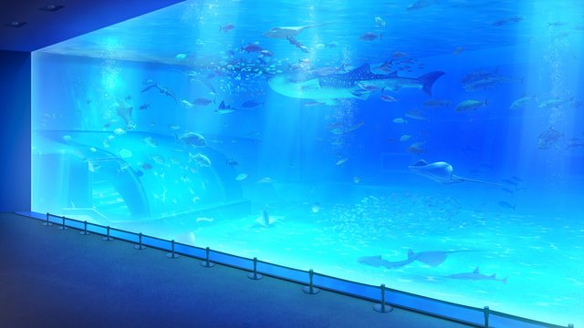 Large Aquarium Tank